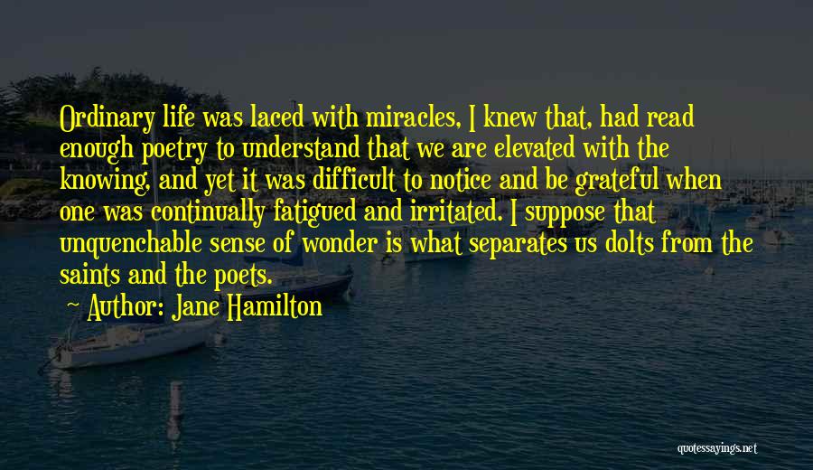 I Am Irritated Quotes By Jane Hamilton