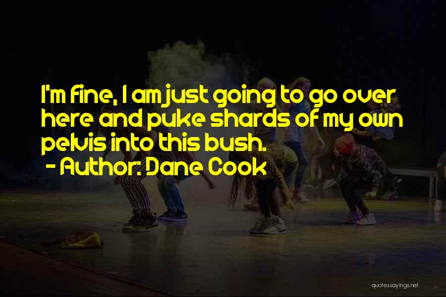 I Am Just Fine Quotes By Dane Cook