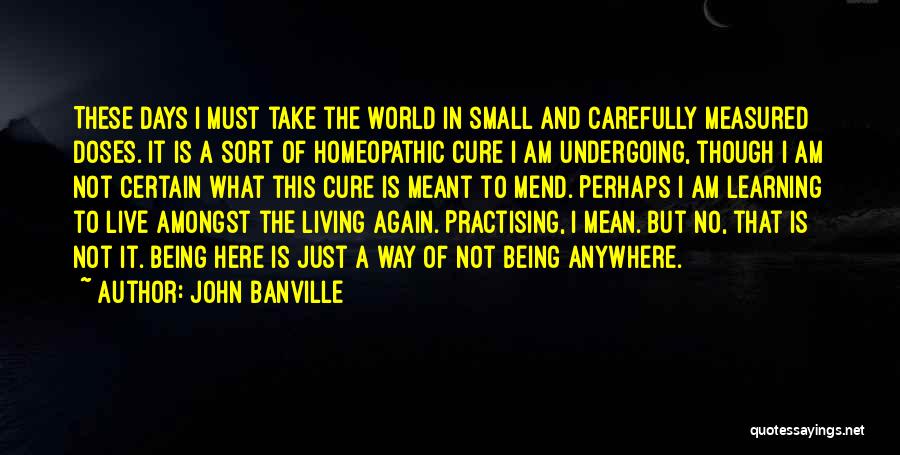 I Am Just Here Quotes By John Banville