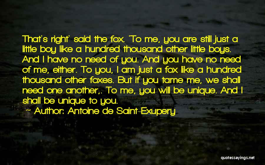 I Am Just Like You Quotes By Antoine De Saint-Exupery