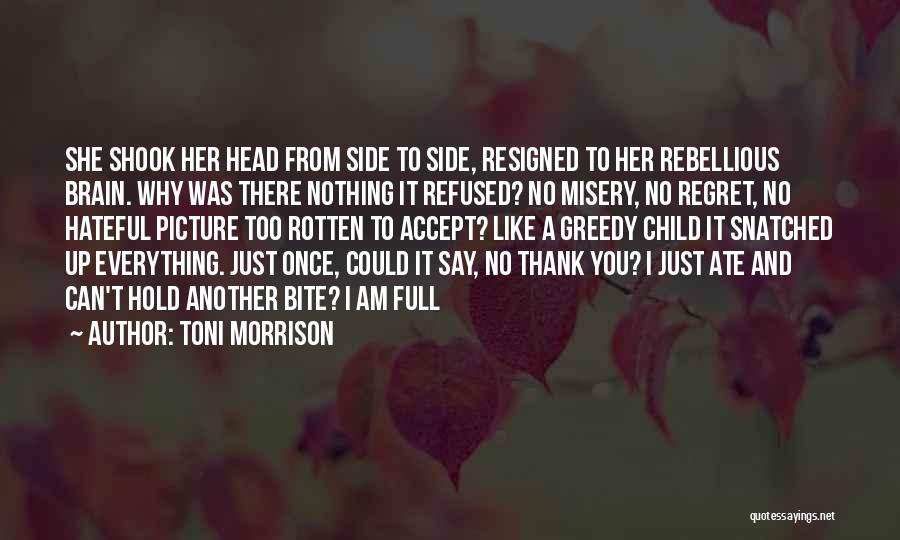 I Am Just Like You Quotes By Toni Morrison