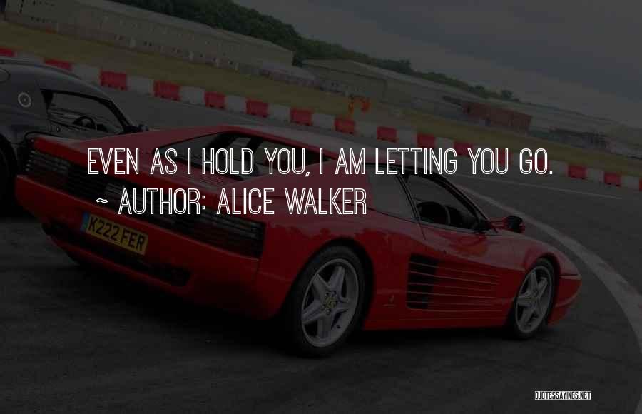 I Am Leaving You Quotes By Alice Walker