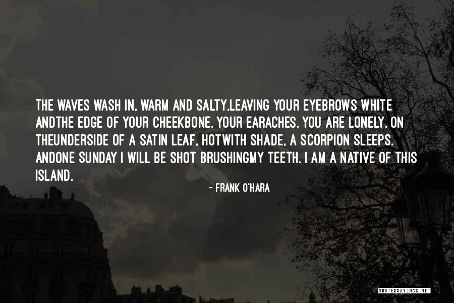 I Am Leaving You Quotes By Frank O'Hara I Am Leaving You Quotes By Frank O'Hara