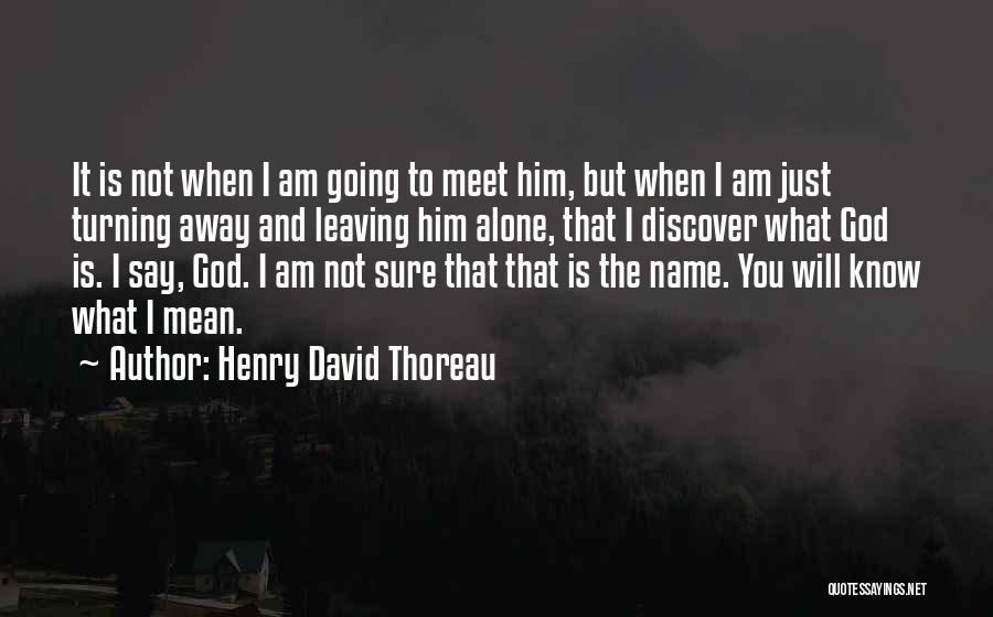 I Am Leaving You Quotes By Henry David Thoreau