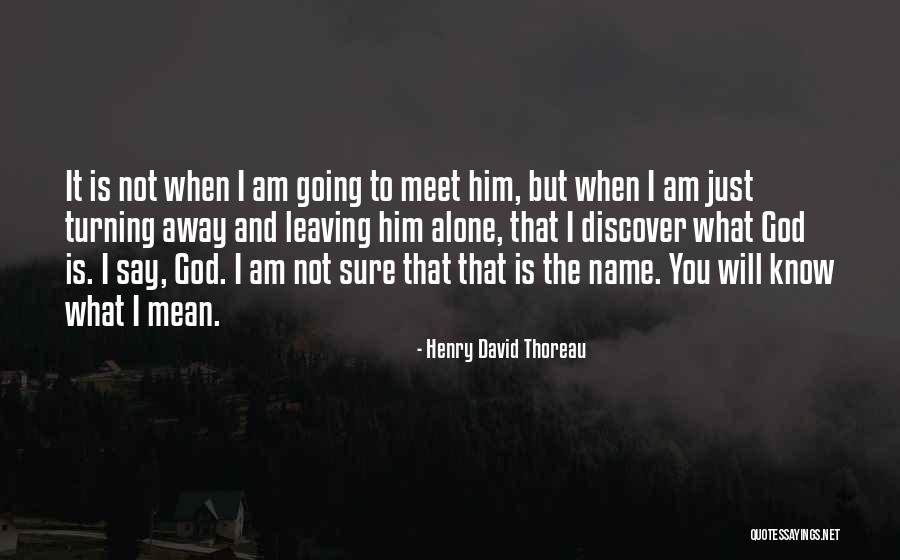 I Am Leaving You Quotes By Henry David Thoreau