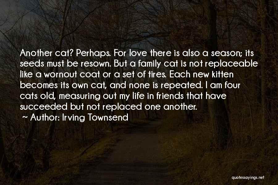 I Am Like A Cat Quotes By Irving Townsend