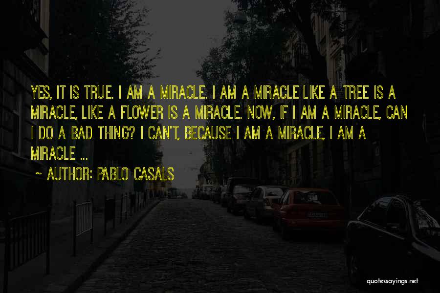 I Am Like A Flower Quotes By Pablo Casals