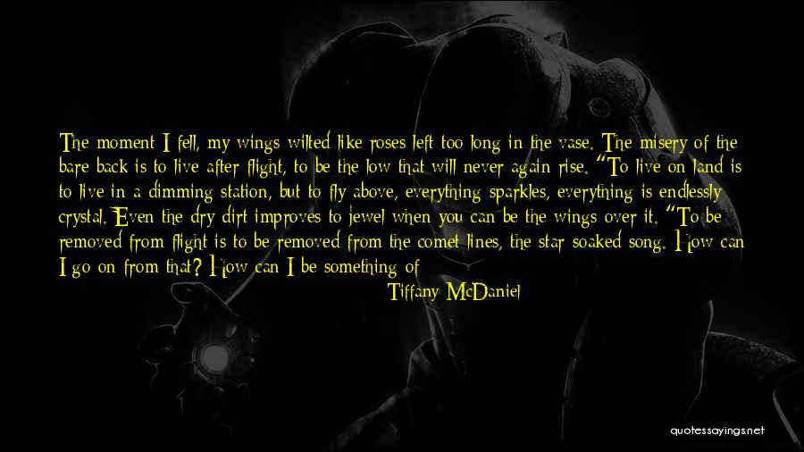 I Am Like A Star Quotes By Tiffany McDaniel