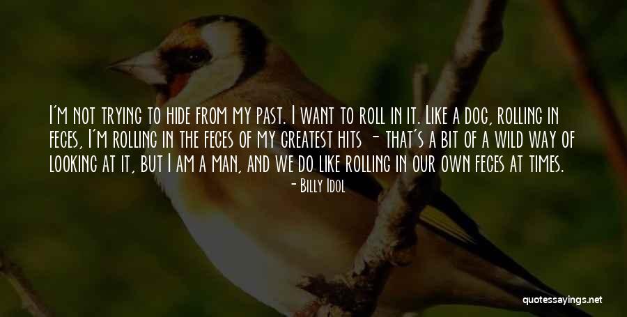 I Am Looking Quotes By Billy Idol