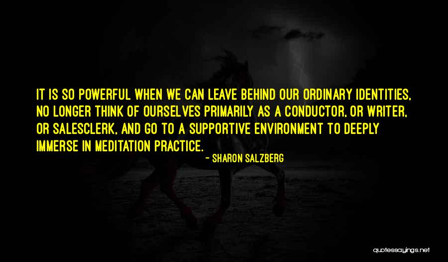 I Am More Powerful Than My Ex Quotes By Sharon Salzberg I Am More Powerful Than My Ex Quotes By Sharon Salzberg