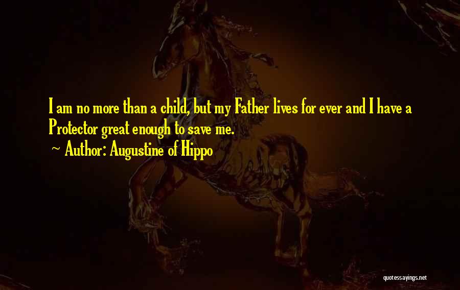 I Am More Than Enough Quotes By Augustine Of Hippo