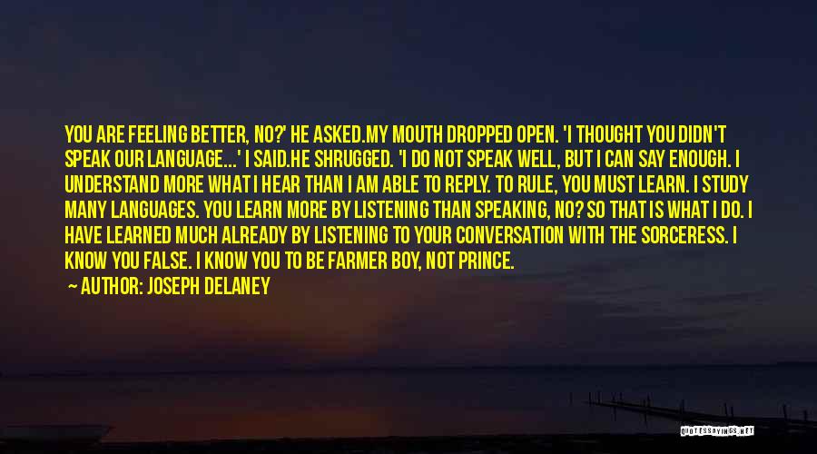 I Am More Than Enough Quotes By Joseph Delaney