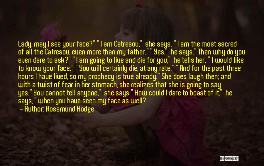 I Am More Than You See Quotes By Rosamund Hodge