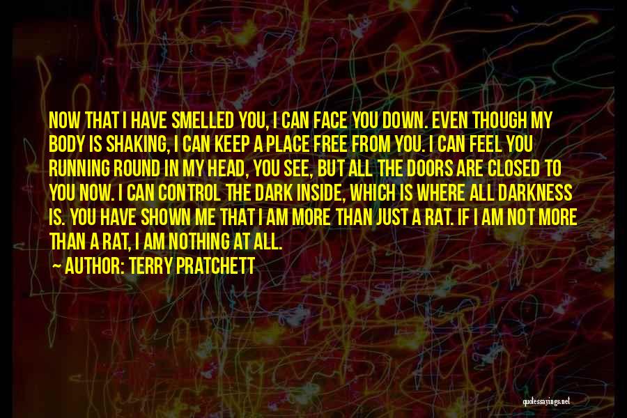 I Am More Than You See Quotes By Terry Pratchett