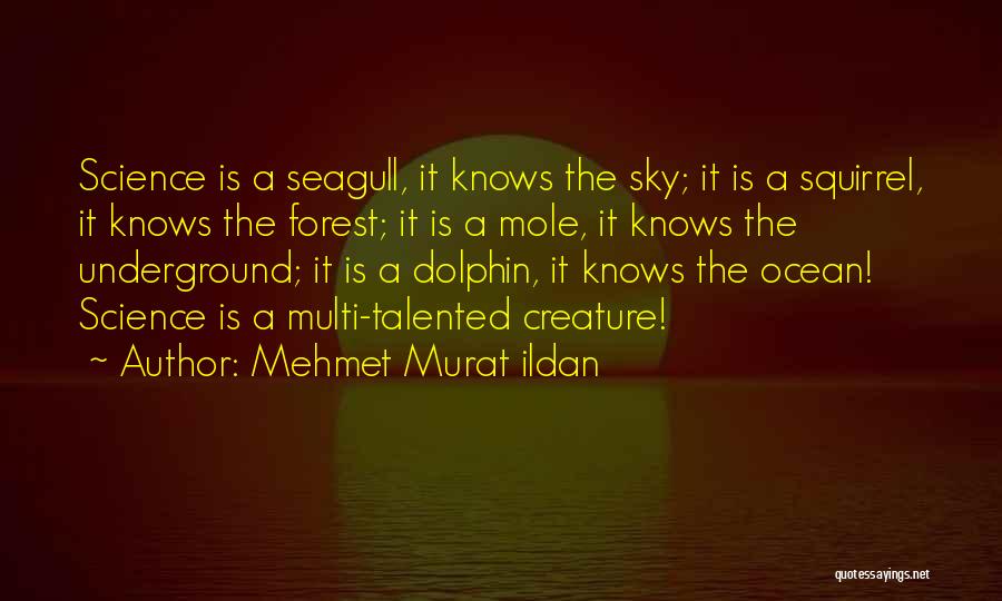 I Am Multi Talented Quotes By Mehmet Murat Ildan