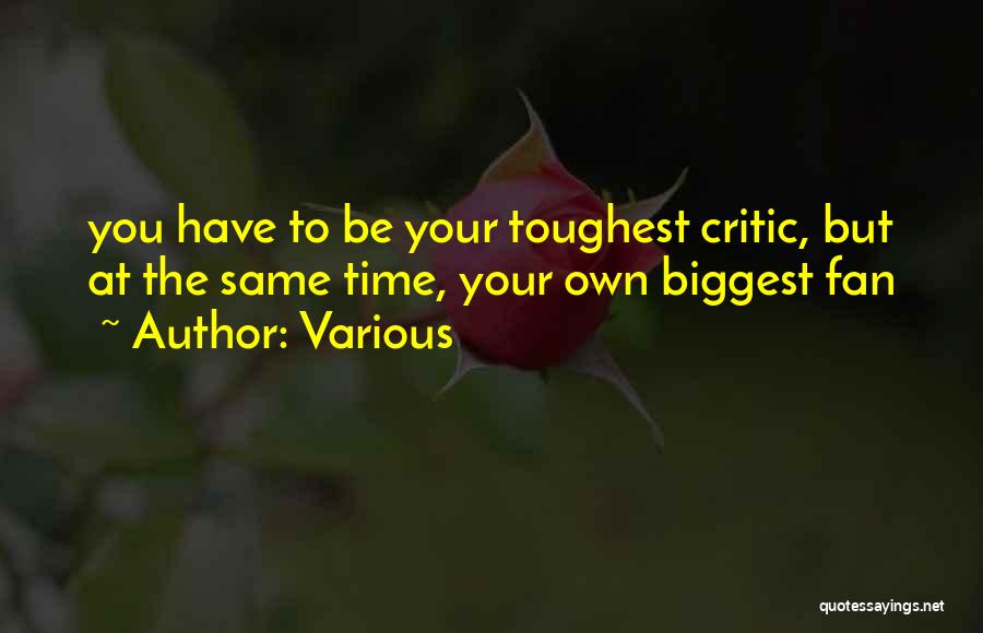 I Am My Biggest Critic Quotes By Various