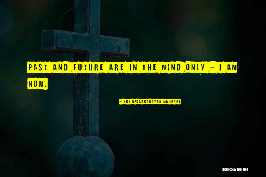 I Am Nisargadatta Quotes By Sri Nisargadatta Maharaj I Am Nisargadatta Quotes By Sri Nisargadatta Maharaj