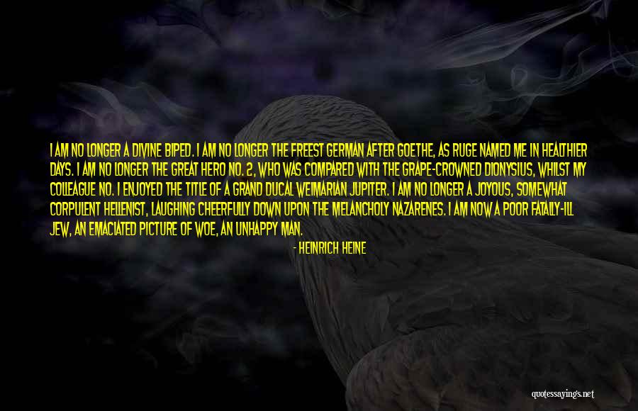 I Am No Hero Quotes By Heinrich Heine I Am No Hero Quotes By Heinrich Heine