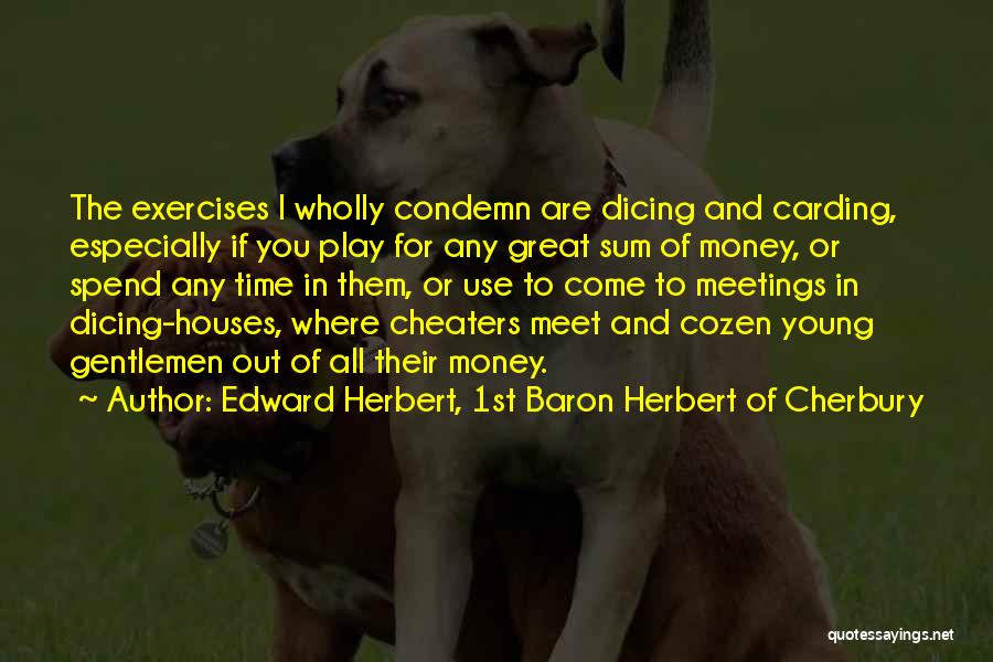 I Am Not A Cheater Quotes By Edward Herbert, 1st Baron Herbert Of Cherbury