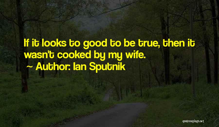 I Am Not A Good Wife Quotes By Ian Sputnik