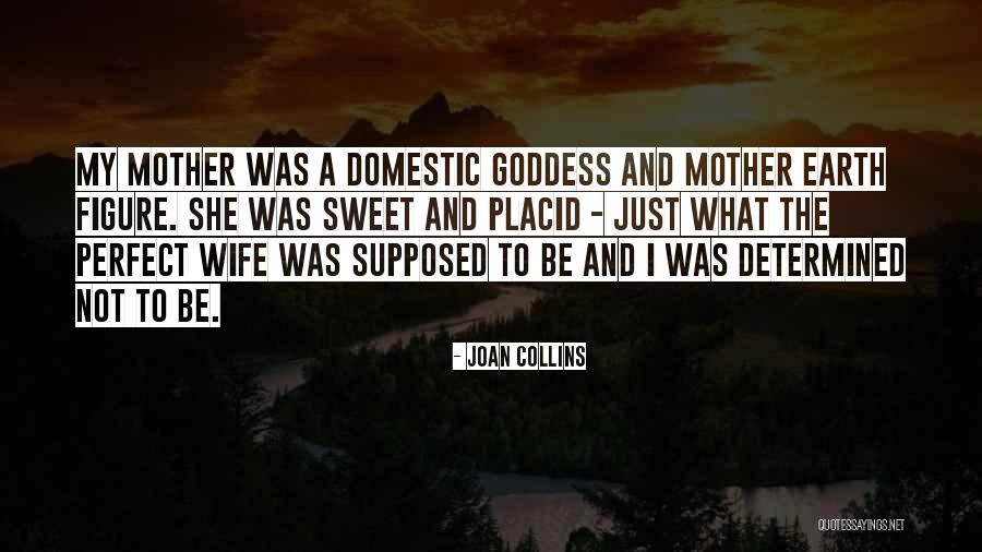 I Am Not A Perfect Wife Quotes By Joan Collins