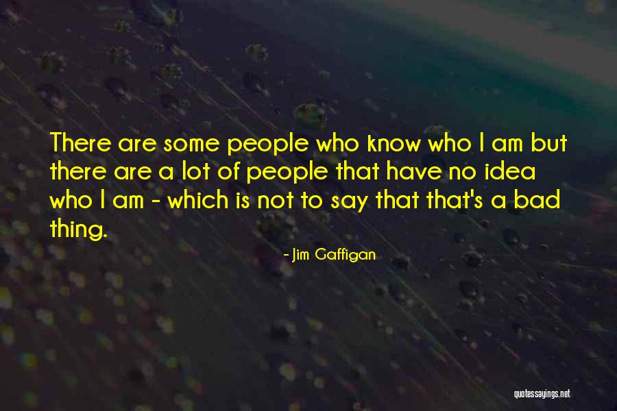 I Am Not Bad Quotes By Jim Gaffigan