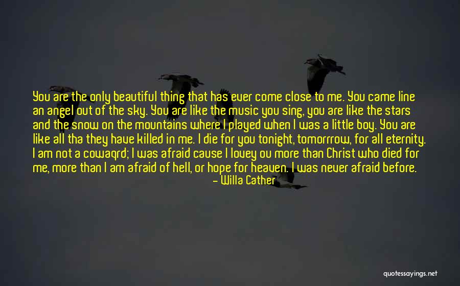 I Am Not Beautiful Like You Quotes By Willa Cather