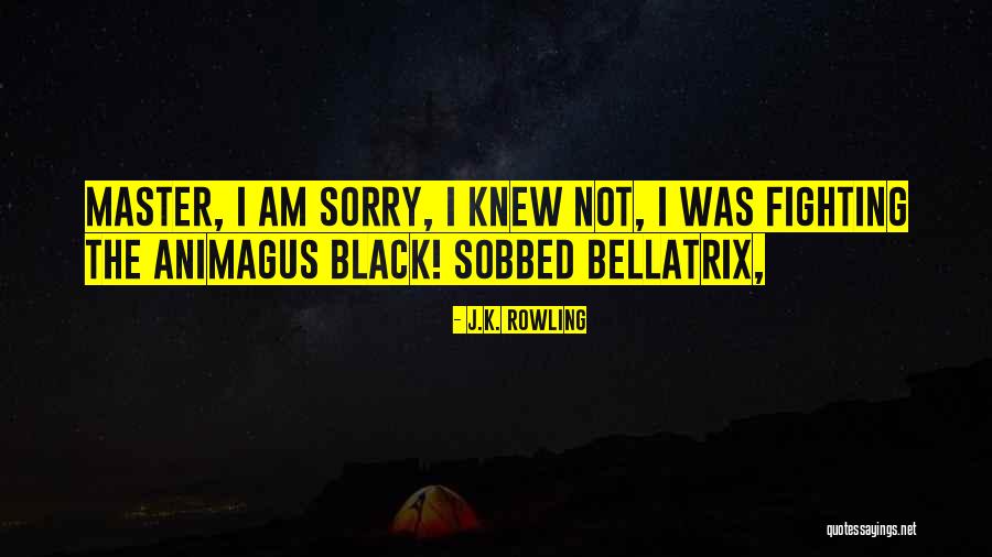 I Am Not Black Quotes By J.K. Rowling I Am Not Black Quotes By J.K. Rowling
