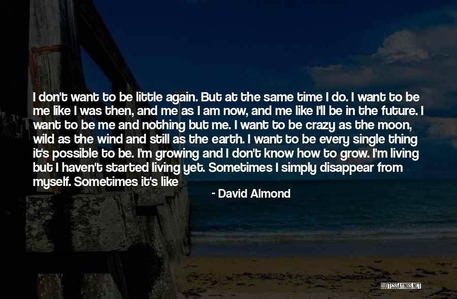 I Am Not Crazy Quotes By David Almond