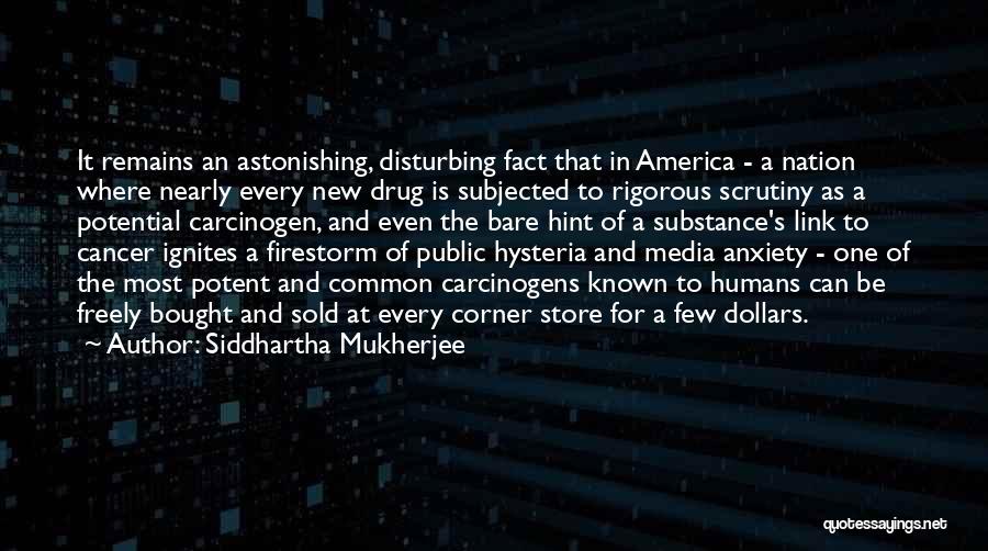 I Am Not Disturbing You Quotes By Siddhartha Mukherjee