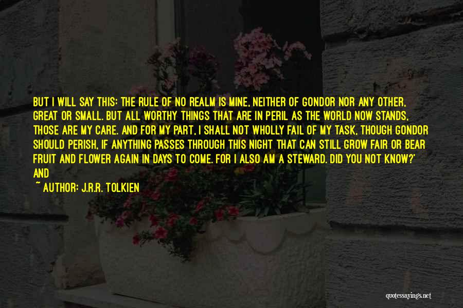 I Am Not Fair Quotes By J.R.R. Tolkien