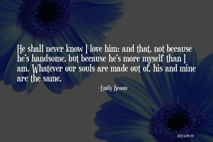 I Am Not Handsome Quotes By Emily Bronte