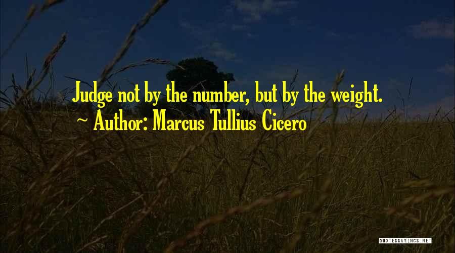 I Am Not Judging You Quotes By Marcus Tullius Cicero