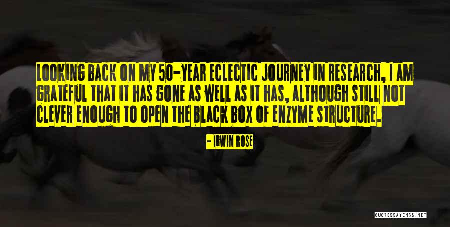 I Am Not Looking Back Quotes By Irwin Rose I Am Not Looking Back Quotes By Irwin Rose