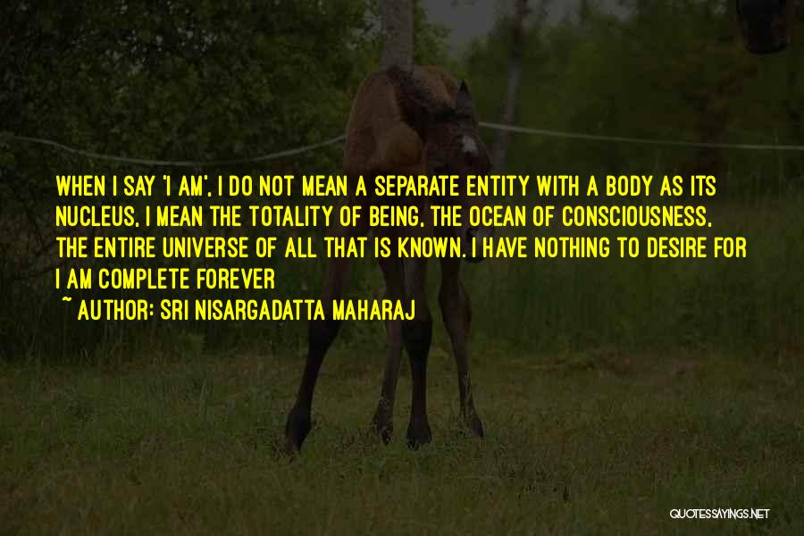 I Am Not Mean Quotes By Sri Nisargadatta Maharaj