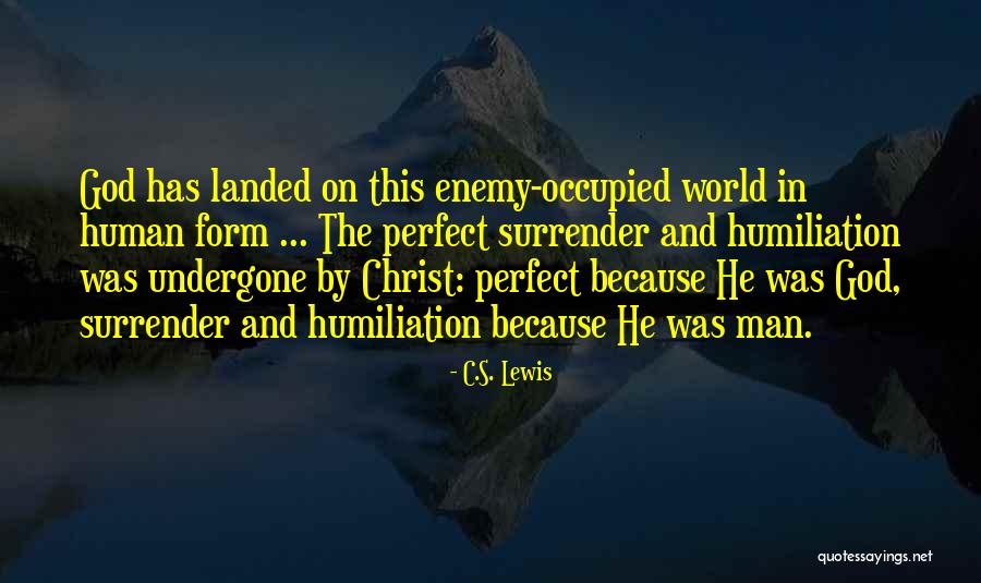 I Am Not Perfect Man Quotes By C.S. Lewis I Am Not Perfect Man Quotes By C.S. Lewis