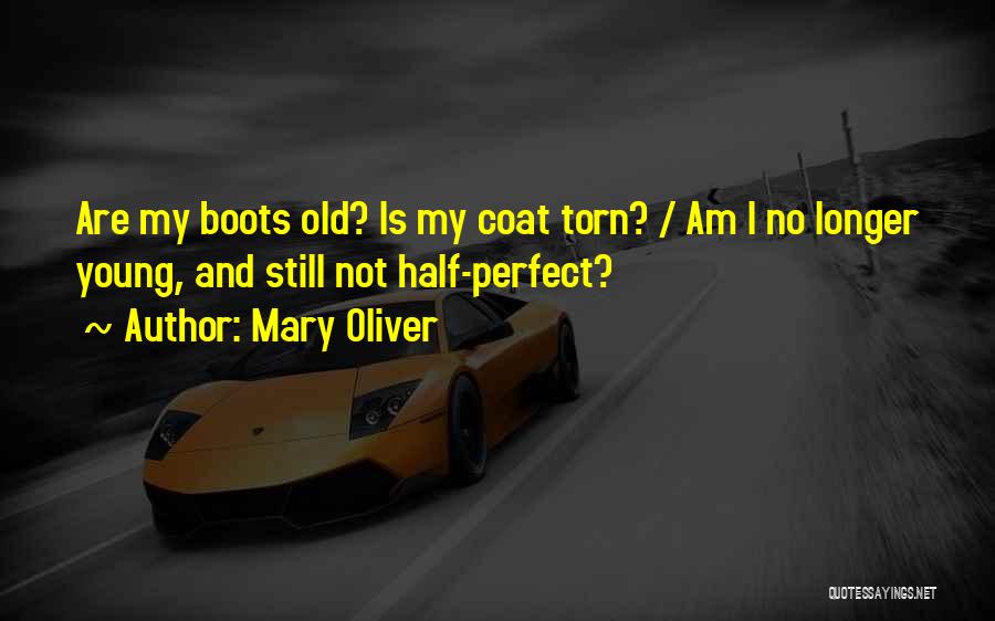 I Am Not Perfect Quotes By Mary Oliver