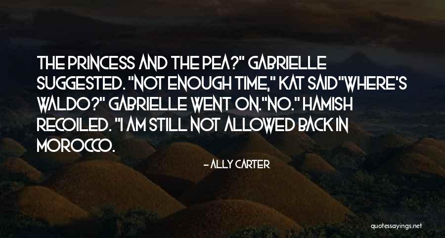 I Am Not Princess Quotes By Ally Carter