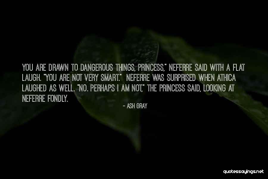 I Am Not Princess Quotes By Ash Gray