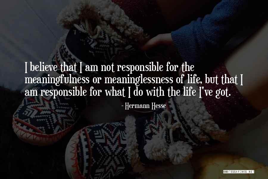 I Am Not Responsible Quotes By Hermann Hesse I Am Not Responsible Quotes By Hermann Hesse