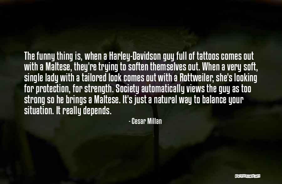 I Am Not Single Funny Quotes By Cesar Millan I Am Not Single Funny Quotes By Cesar Millan