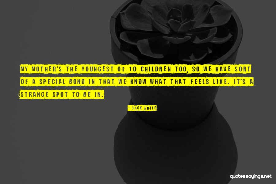 I Am Not Special And I Know That Quotes By Jack White I Am Not Special And I Know That Quotes By Jack White