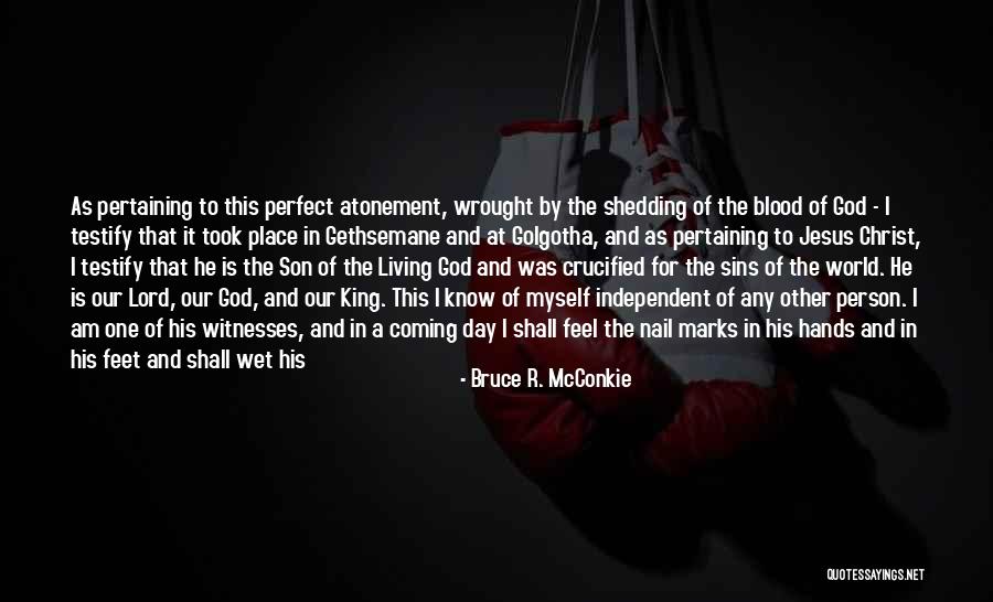 I Am Not The Perfect Person Quotes By Bruce R. McConkie