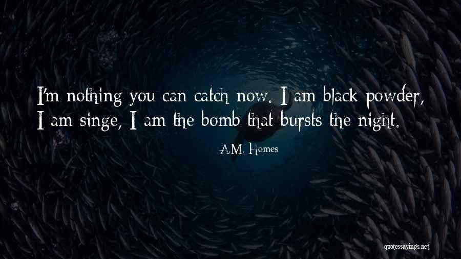 I Am Nothing Now Quotes By A.M. Homes I Am Nothing Now Quotes By A.M. Homes