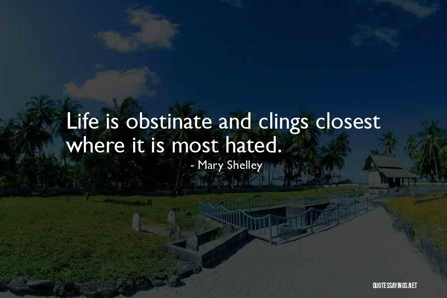 I Am Obstinate Quotes By Mary Shelley I Am Obstinate Quotes By Mary Shelley