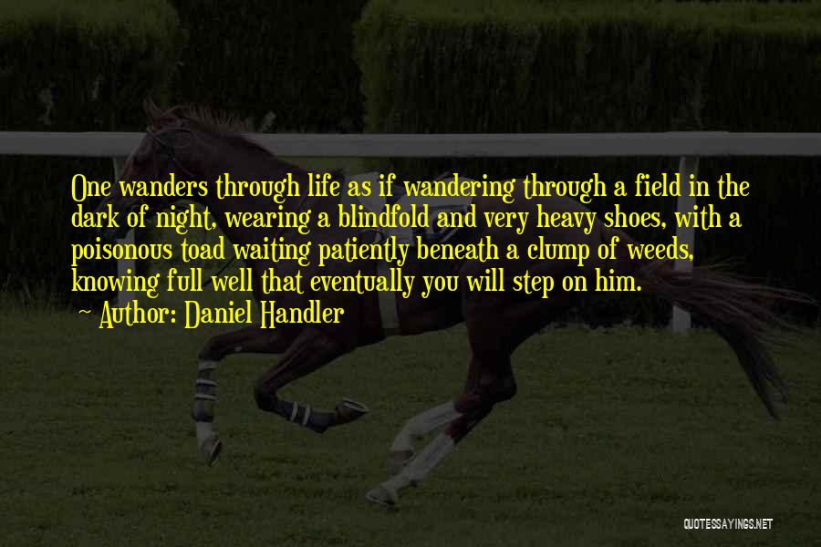I Am Patiently Waiting Quotes By Daniel Handler
