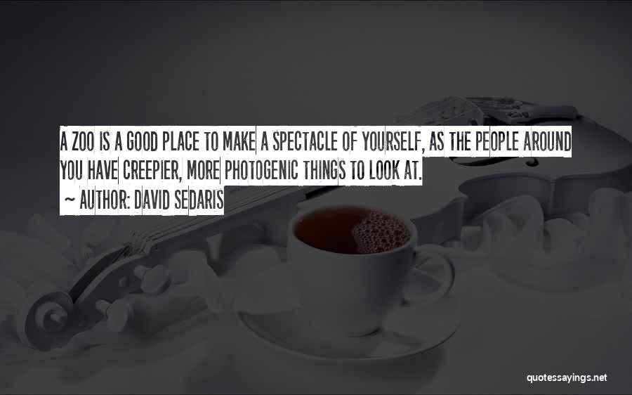I Am Photogenic Quotes By David Sedaris