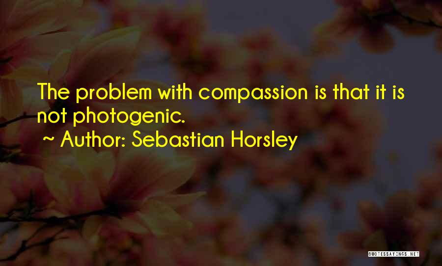 I Am Photogenic Quotes By Sebastian Horsley