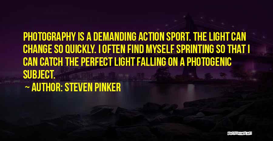 I Am Photogenic Quotes By Steven Pinker