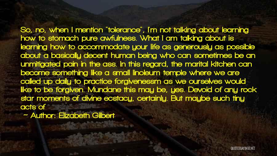 I Am Pure Quotes By Elizabeth Gilbert